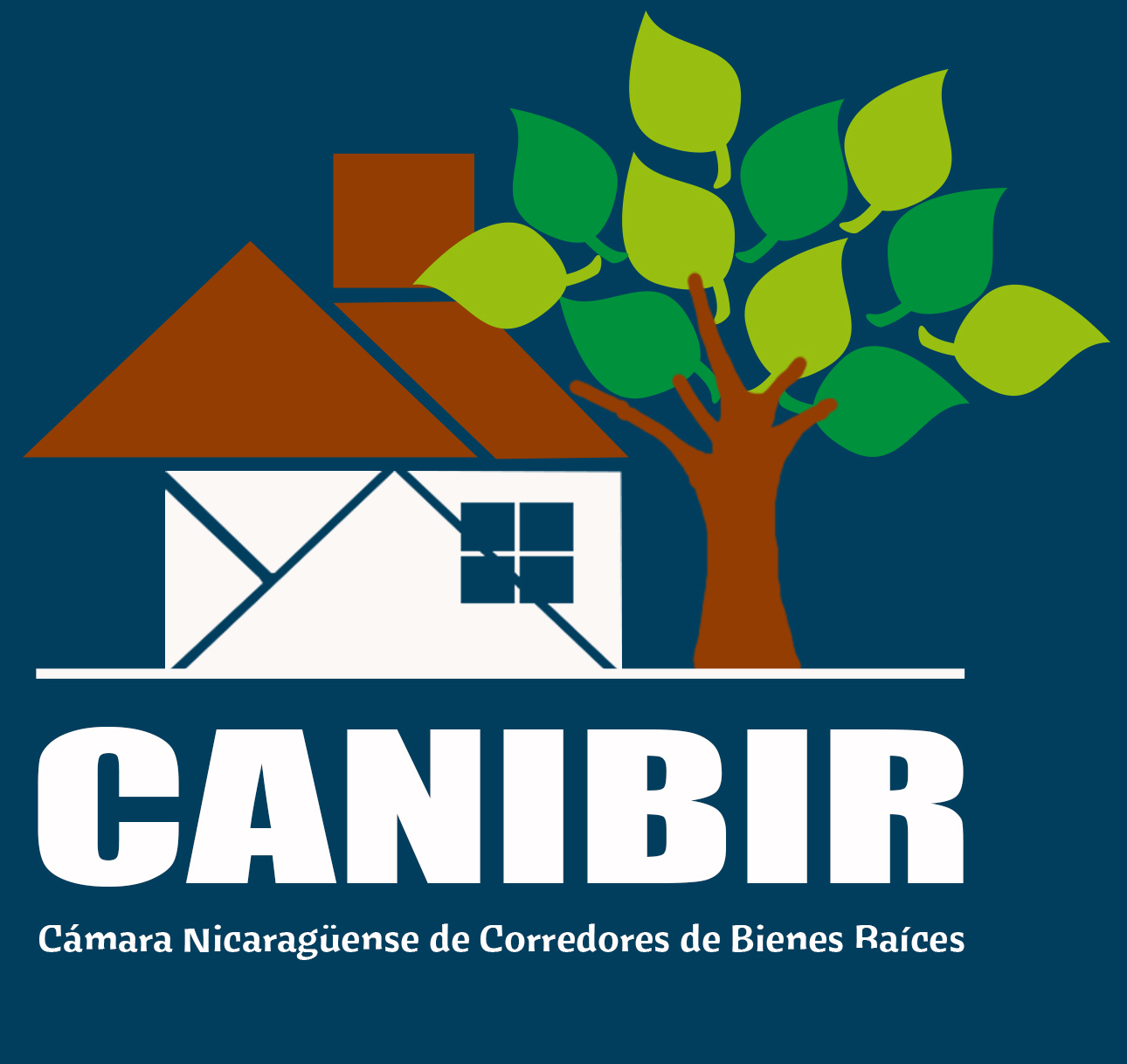 CANIBIR NICARAGUA REAL ESTATE PROPERTY SEARCH AND BROKER DATABASE